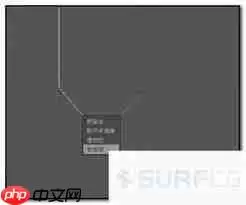 C4D��ΰ�������תΪʵ��ģ��