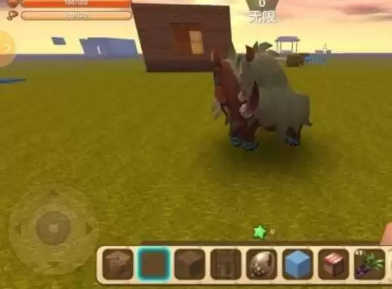 �������紫�;����������_���;�����������