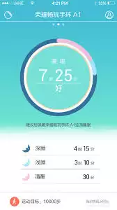 ��β鿴ʶ��A1-ʶ��A1�鿴��ʽ