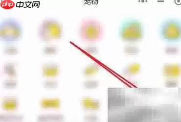 狗狗口臭怎么办?5招轻松解决 狗狗口臭怎么办?5招轻松解决