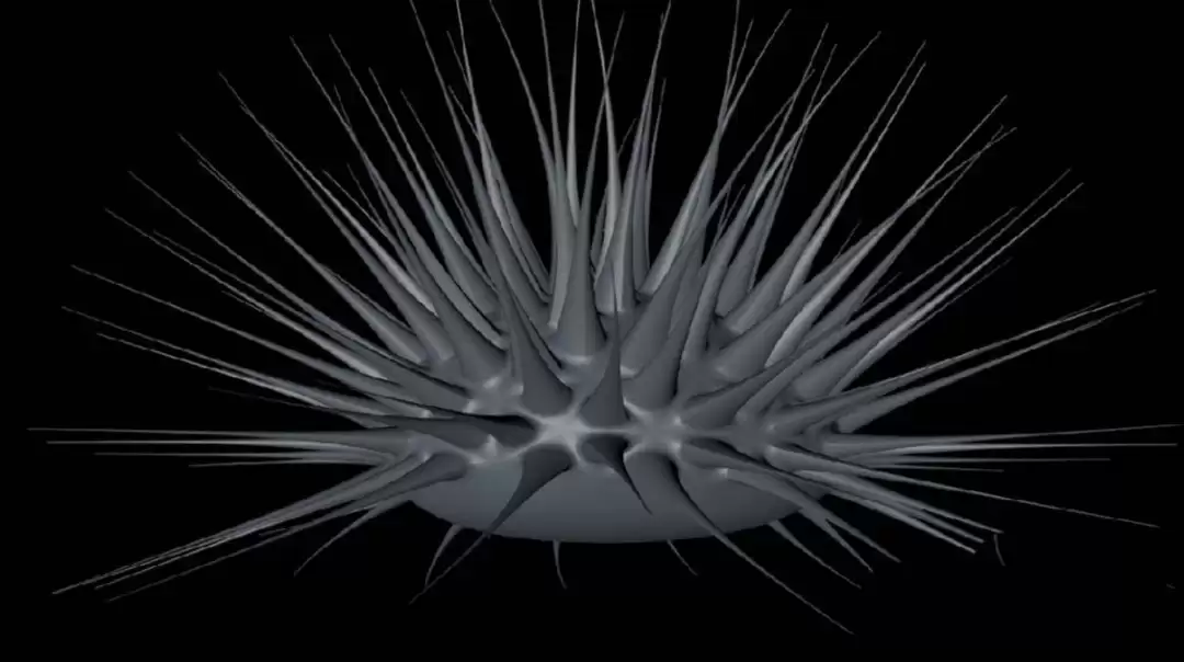 C4D��ô��ģ����ģ��