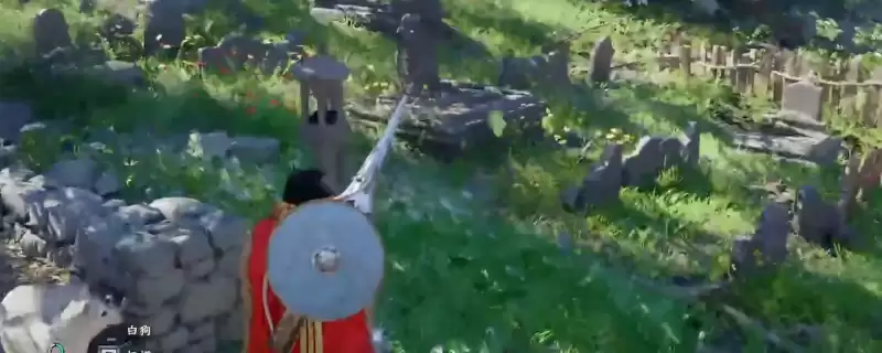 ����ɫɳĮ������ľ���ż����չ��Է���