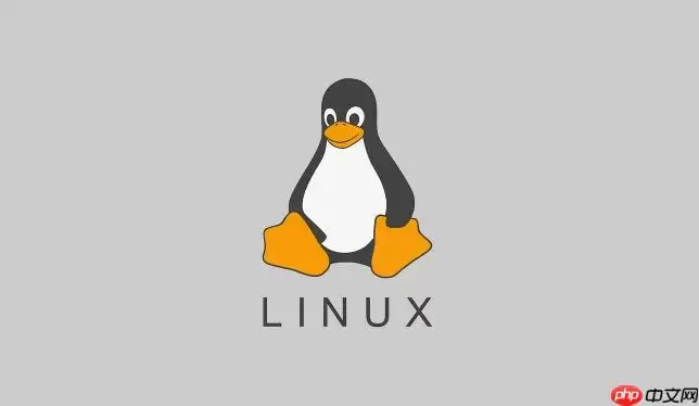 Linux���ʹ��df�鿴����ʹ��_Linux df�鿴����ʹ��ָ��