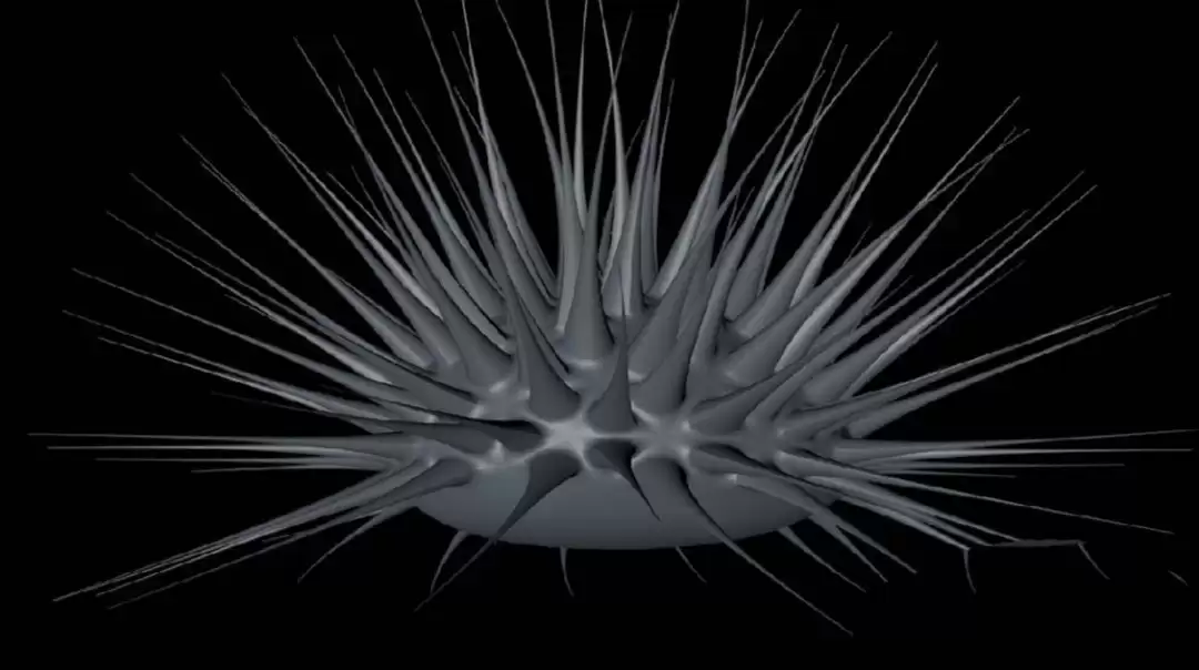 C4D��ô��ģ����ģ��