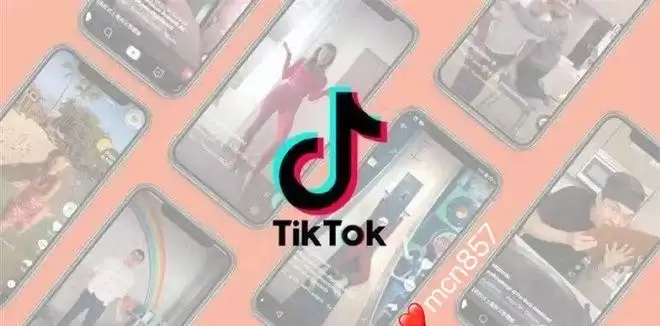 tiktok官网直达入口 tiktok官网直达入口