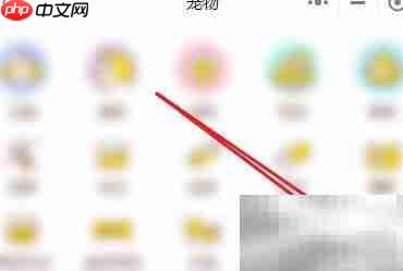 �����ڳ���ô�죿5�����ɽ��