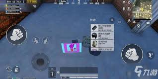 ��ƽ��Ӣ��λ�ȡ�����Ů101����Ƭ