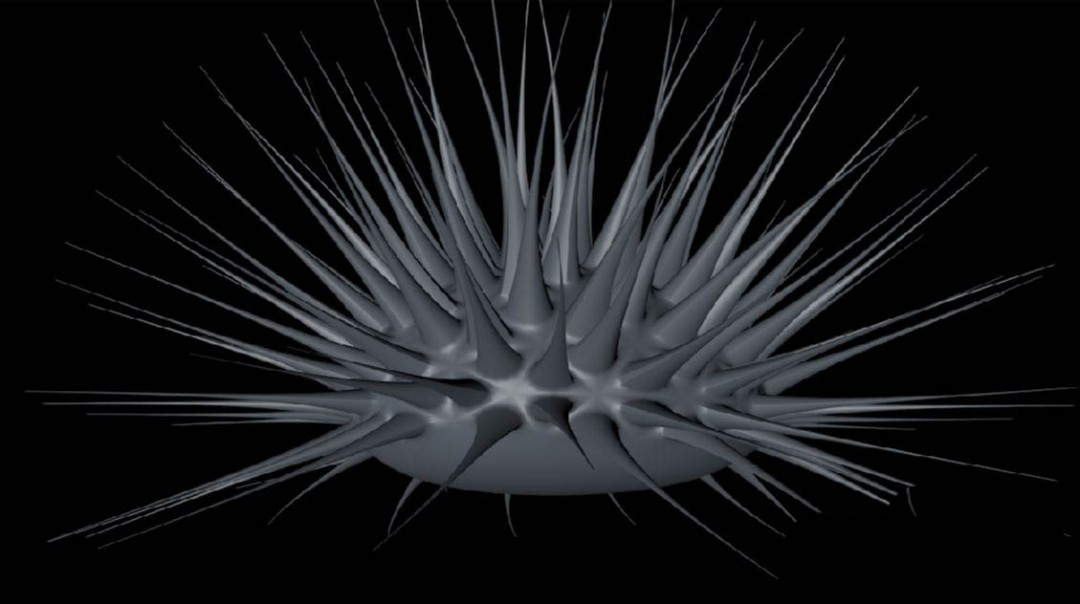 C4D��ô��ģ����ģ��