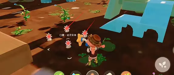 ������С�˹���ֲ�淨����