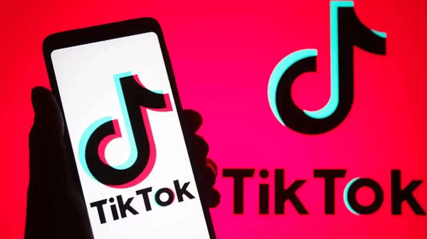 TikTok��ҳ�������