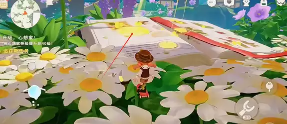 ������С�˹���ֲ�淨����