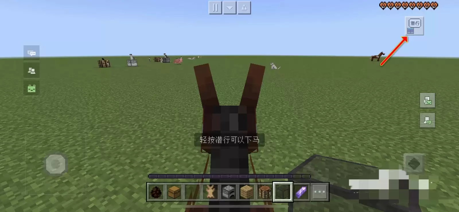 �ҵ�������ô�����ӷŵ�¿����������