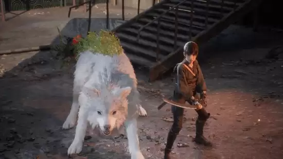 һ��һ�������£������ο�����Game Freak�������ֻ�֮�ޡ�����Ϣ����