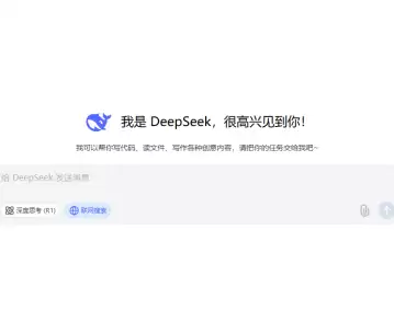 deepseek����������¼