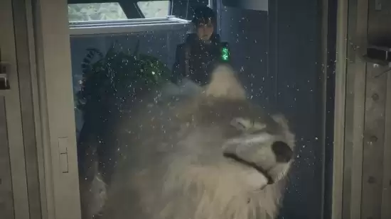 һ��һ�������£������ο�����Game Freak�������ֻ�֮�ޡ�����Ϣ����