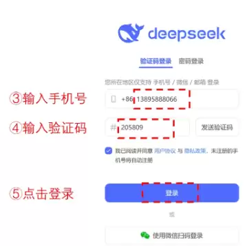 deepseek����������¼
