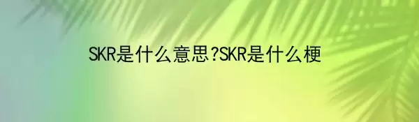 SKRɶ��˼