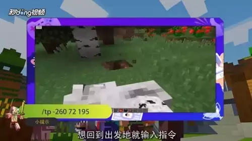 �ҵ����紫�������ʽ��ʲô