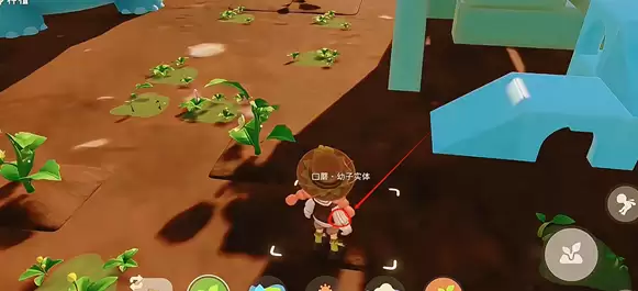 ������С�˹���ֲ�淨����