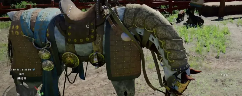 ����ɫɳĮ�������������׻�ù���-�����������򷽷����