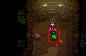 ��¶��������λ�ȡʳ����-��¶������ʳ���ͻ�ȡ����