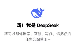 deepseek����������¼