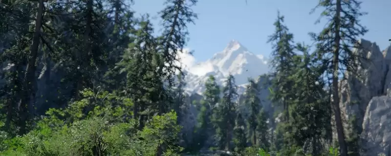 ����ɫɳĮ��̽�����ɷ���