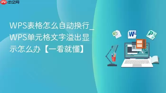 WPS������ô�Զ�����_WPS��Ԫ�����������ʾ��ô�졾һ���Ͷ���