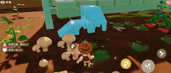 ������С�˹���ֲ�淨����