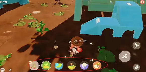 ������С�˹���ֲ�淨����