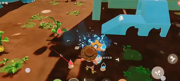 ������С�˹���ֲ�淨����