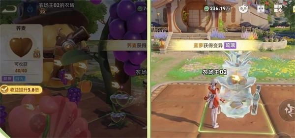 ������ҫ����ũ���ְ��ֹ���