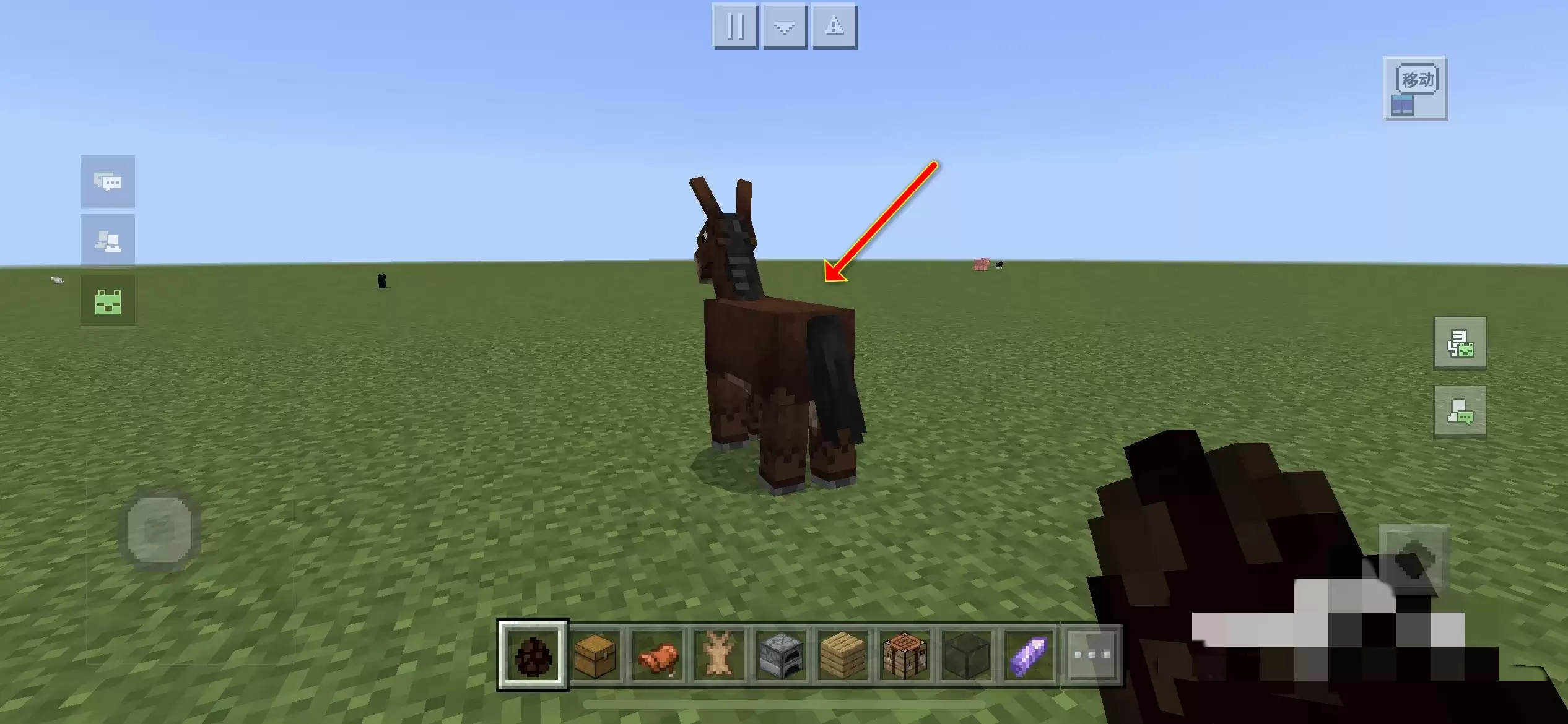 �ҵ�������ô�����ӷŵ�¿����������