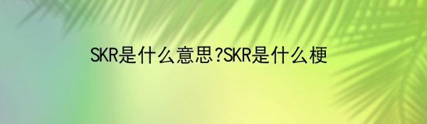SKRɶ��˼