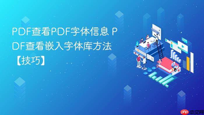 PDF�鿴PDF������Ϣ PDF�鿴Ƕ������ⷽ�������ɡ�