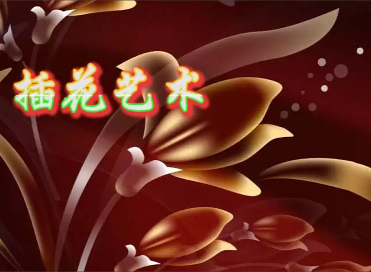 premiere��ô������������Ч������Ļ