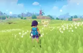 ����������粻��ɫ������ô��-����������粻��ɫ�����淨��ʲô