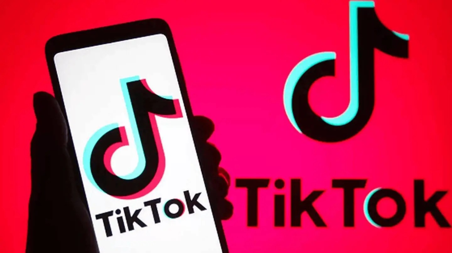 TikTok��ҳ�������