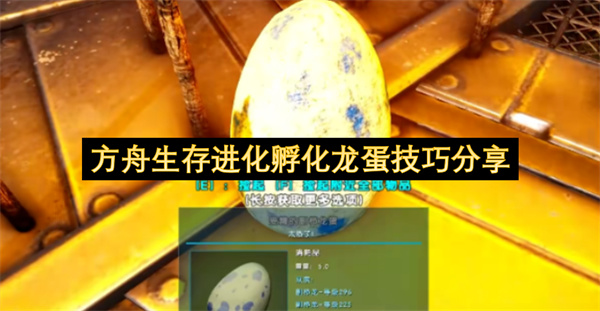 ����������������������ɷ���