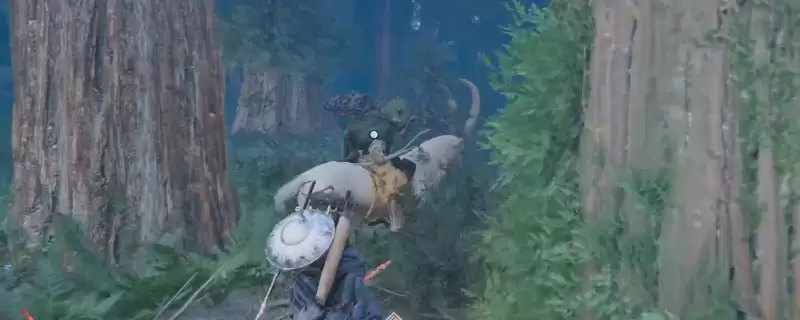 ����ɫɳĮ��ӰҶ�߹���÷�������