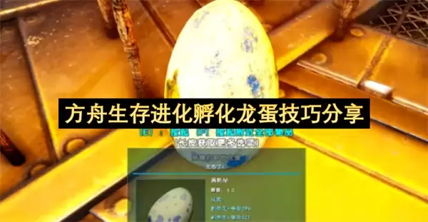 ������������з��������ļ������