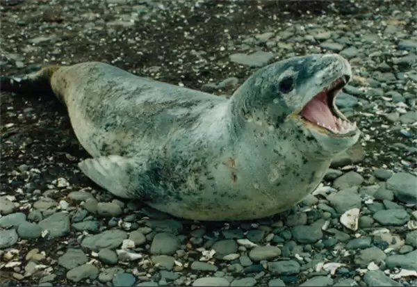 ���溣��4��5�ս��մ�2026