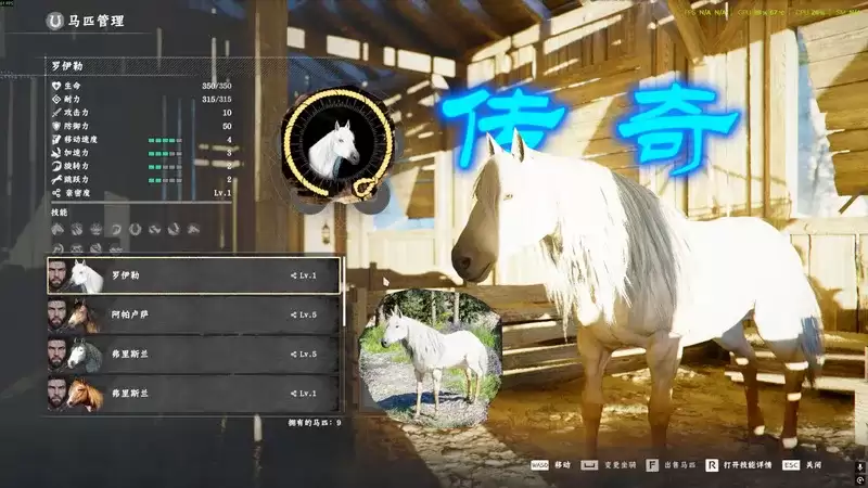 《红色沙漠》传奇白马驯服攻略-坐骑获取与操作详解 《红色沙漠》传奇白马驯服攻略-坐骑获取与操作详解