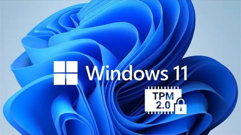 ����ڲ������豸�ϳɹ���װWindows 11ϵͳ