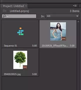Premiere��ô����Ư���Ķ����ع�Ч��
