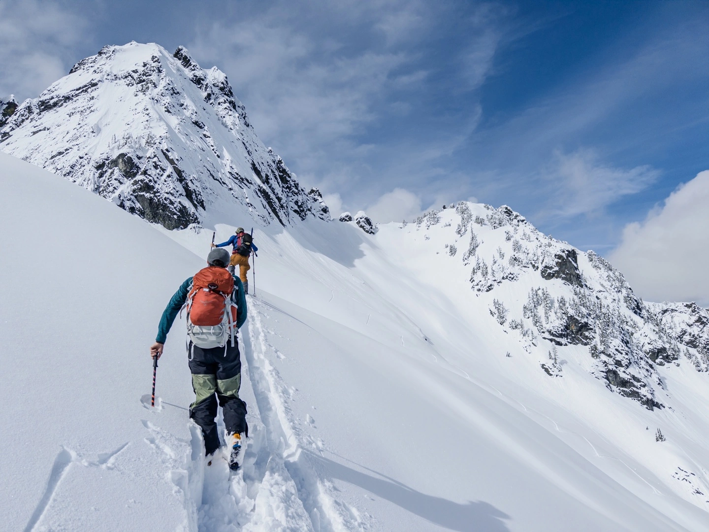 Adobe �Ƴ�רҵ�������ֻ����Ӧ�� Project Indigo��iOS �׷�������ṩ