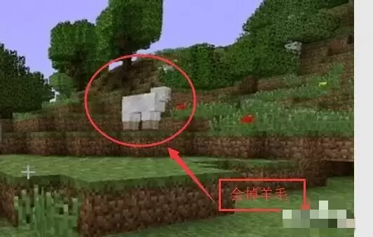 �ҵ������������������