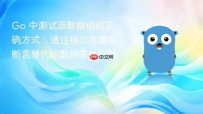 Go 中测试函数赋值的正确方式:通过接口与类型断言替代函数相等性判断 Go 中测试函数赋值的正确方式:通过接口与类型断言替代函数相等性判断