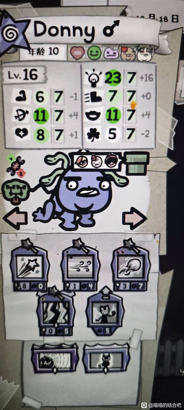 �������Ľ�ϡ���ʦ������С�������Ƽ� ˫è���ְҵ�Ƽ�