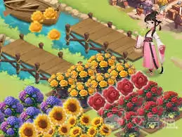 �ҵĻ�԰���������ôʹ��